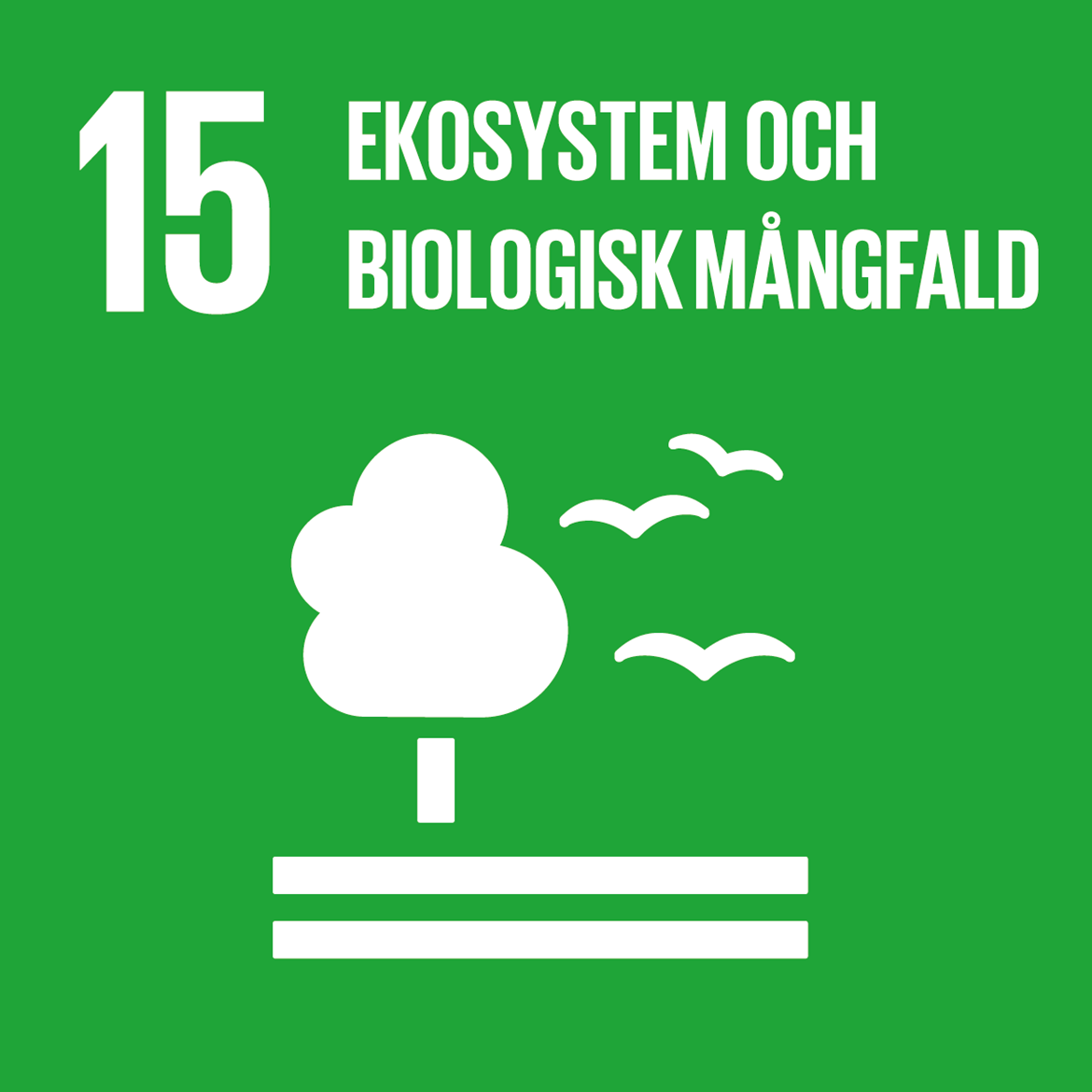 15 - Ekosystem och biologisk mångfald