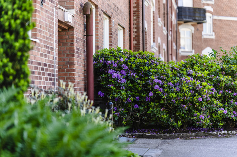 Röd tegelbyggnad med gröna buskar.