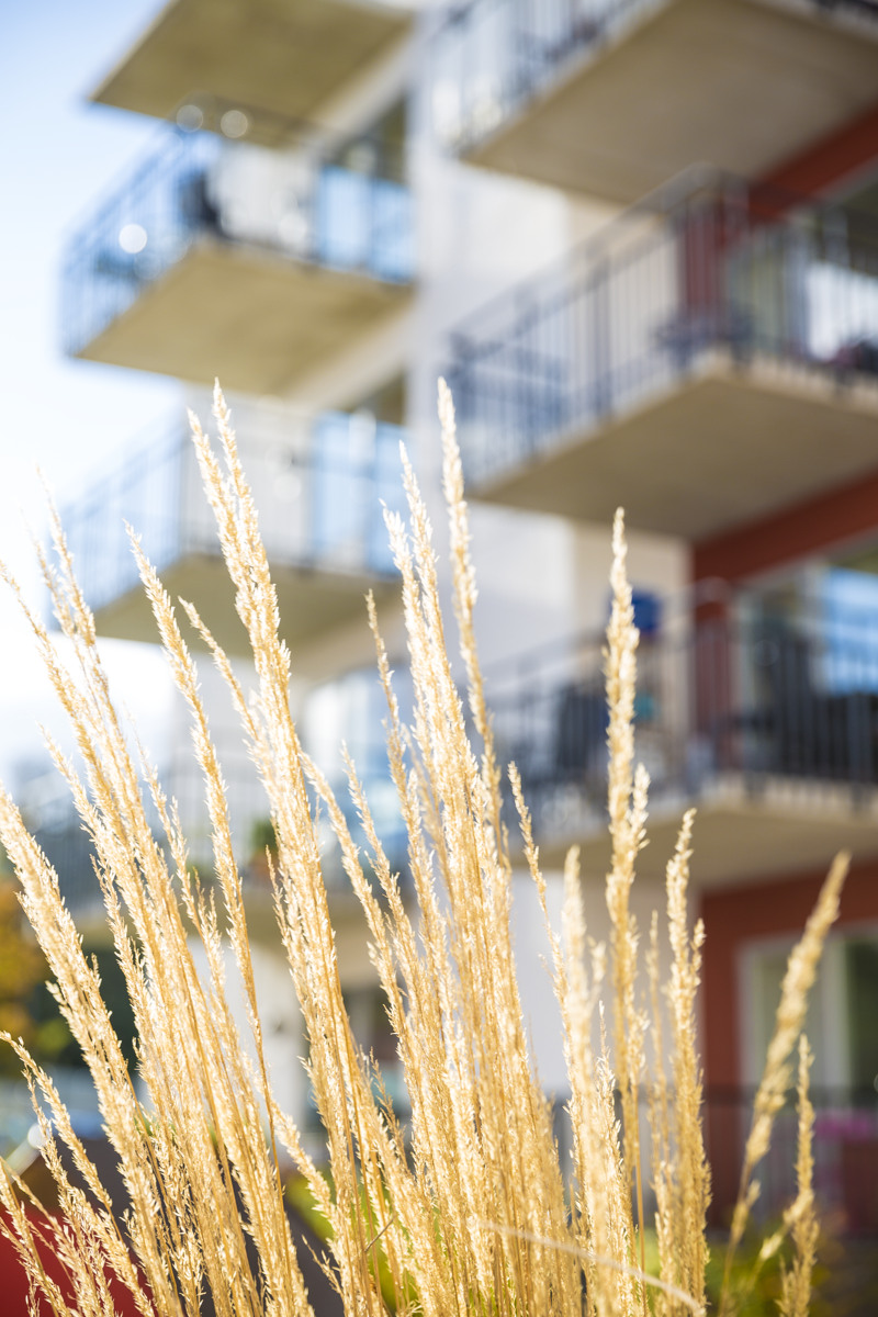 Magistern, Sofieberg 8468