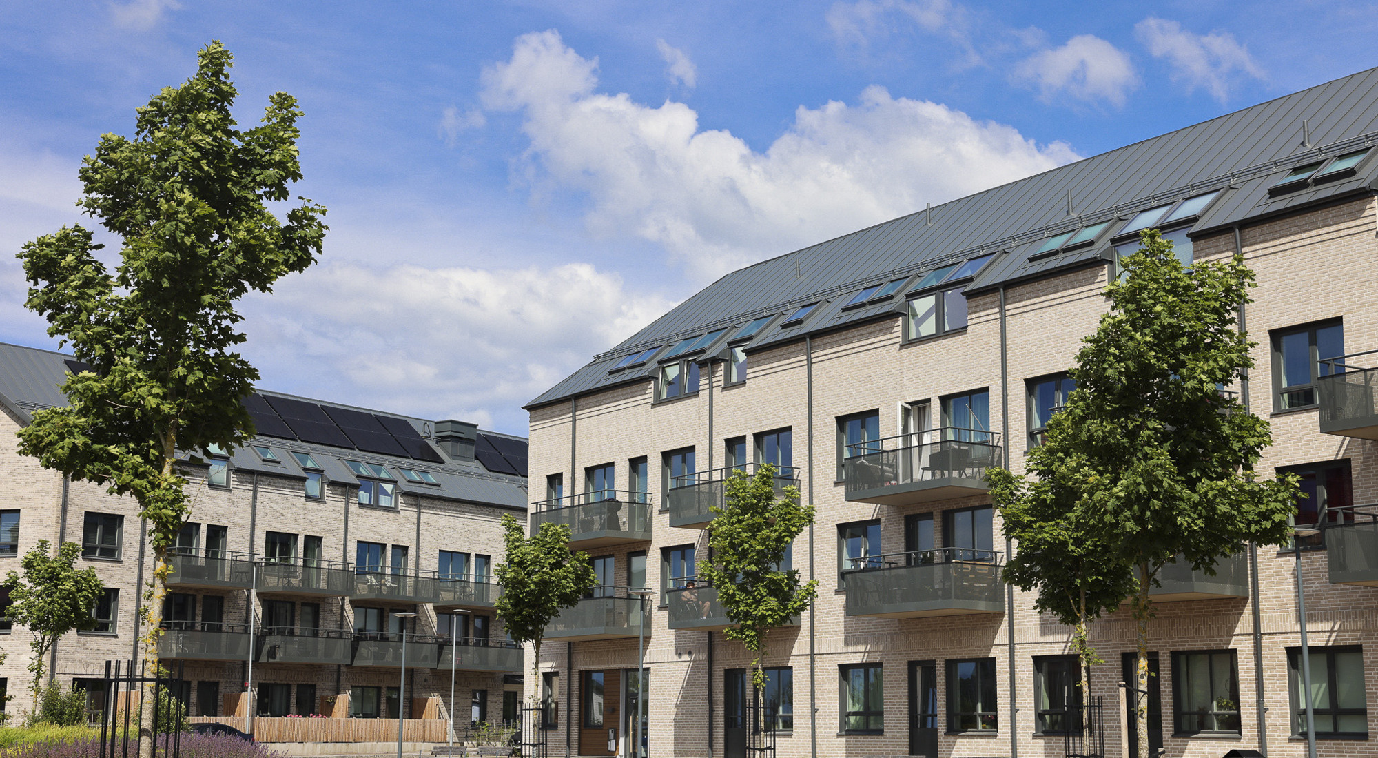 En rad hyreshus på en solig dag.