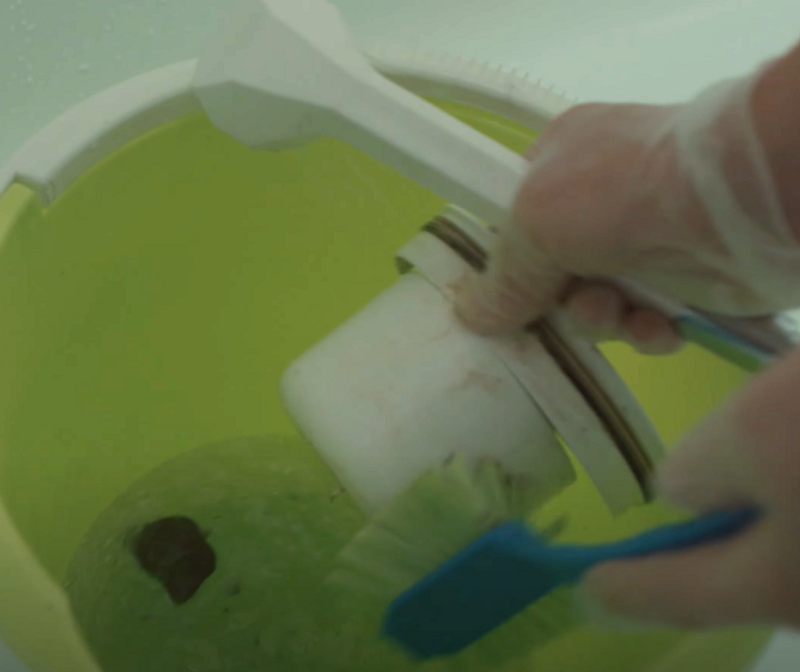 En person som städar och diskar vattenlås från golvbrunn.