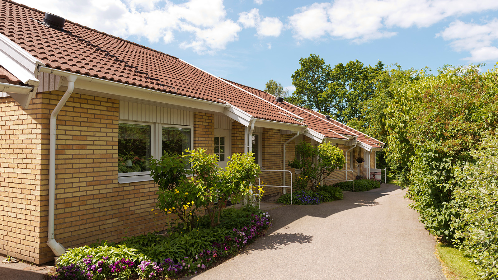 Harplinge. Sommarbild av marklägenheter på rad i ett plan, klädda med gult tegel. 