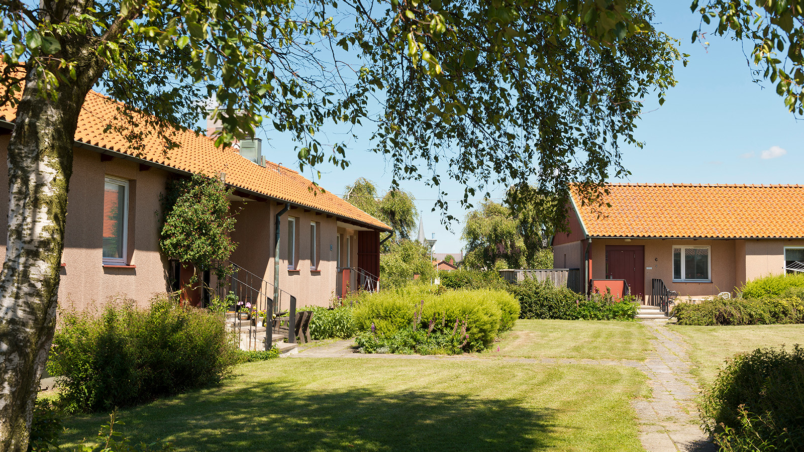 Trönninge. Sommarbild av beigerosa, putsade enplanshus med små trappor upp till de röda ytterdörrarna.